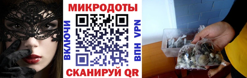 мориарти клад  Бавлы  Псилоцибиновые грибы прущие грибы  наркота 